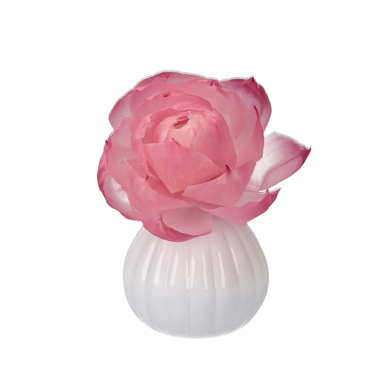 Peony White Ceramic Diffuser Fragranced with Sweet Grace - Image 4
