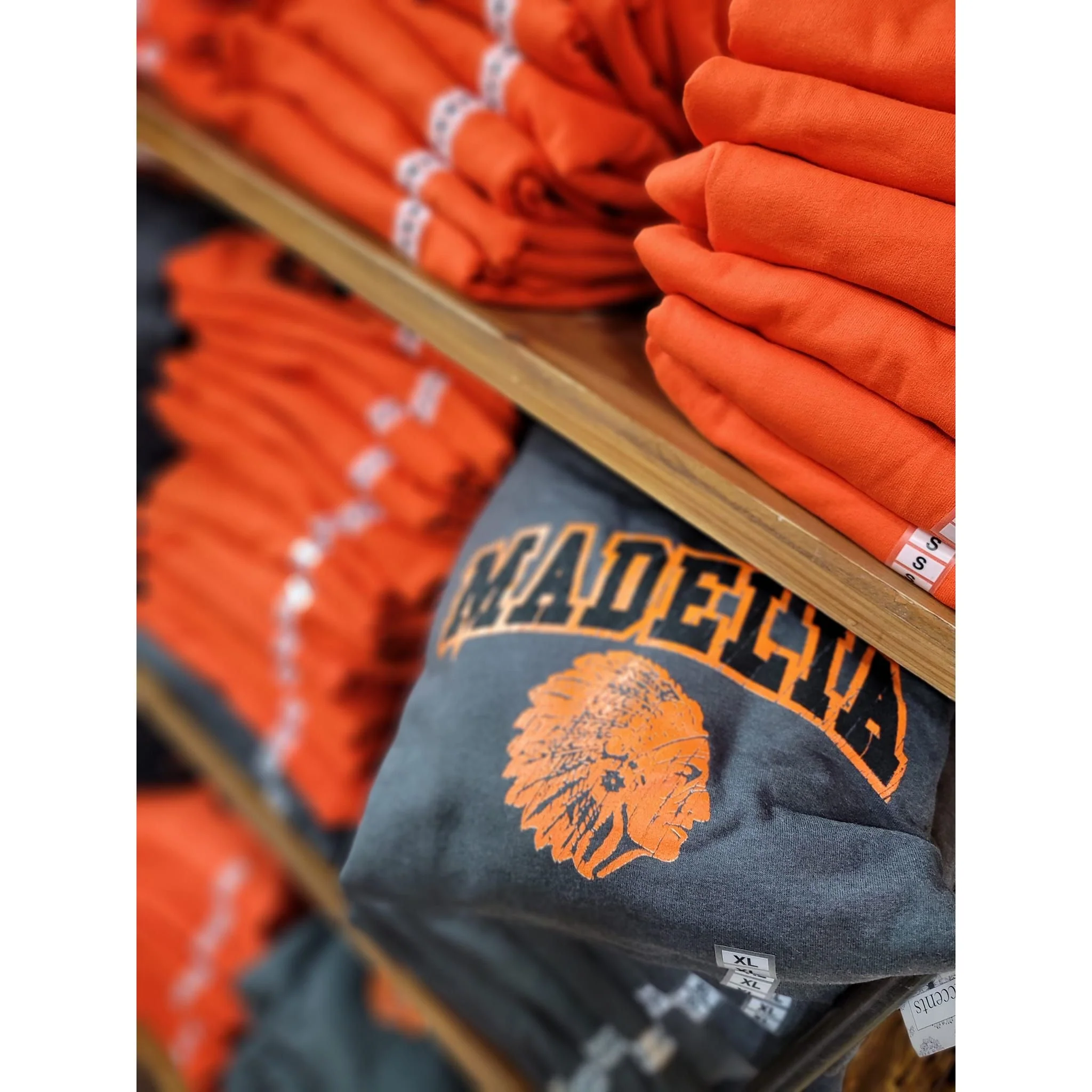 MADELIA Grey Champion Hooded Sweathshirt - "The Original Varsity" - Image 4